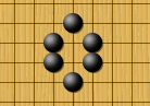 亀の甲